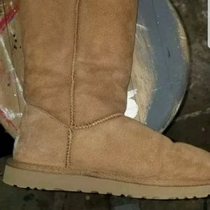 Ugg authentic boots
